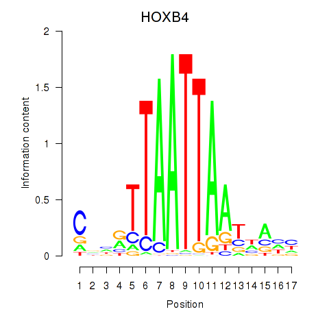 logo of HOXB4