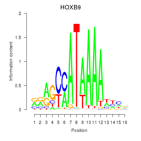 logo of HOXB9