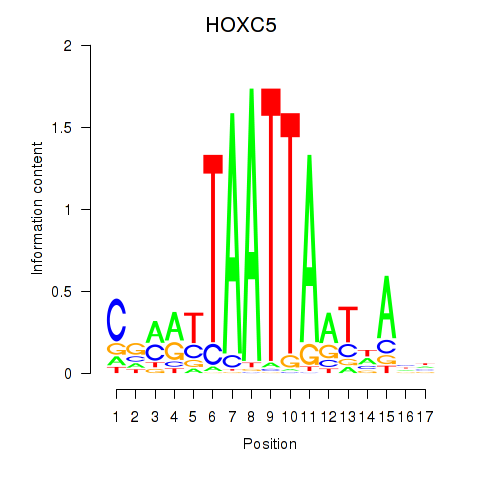 logo of HOXC5