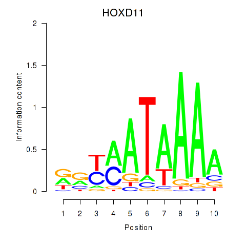 logo of HOXD11