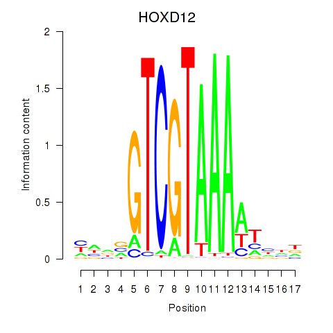 logo of HOXD12