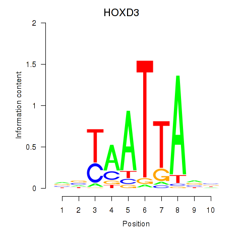 logo of HOXD3