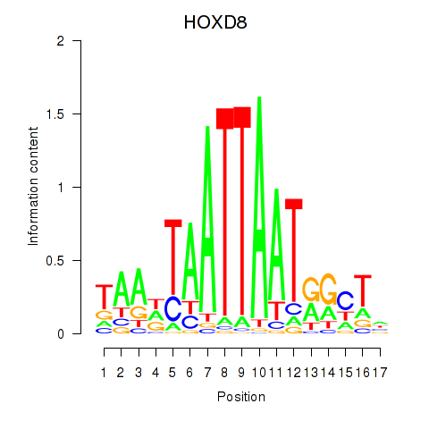 logo of HOXD8