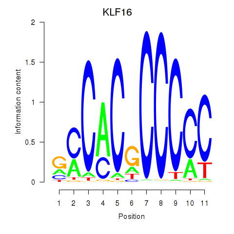 logo of KLF16