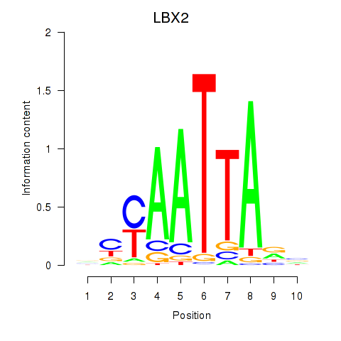 logo of LBX2