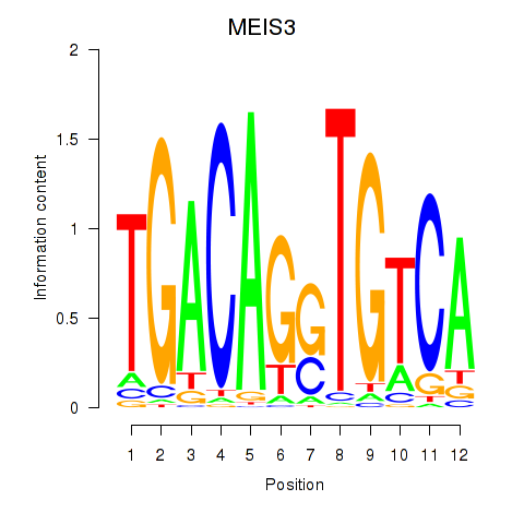 logo of MEIS3