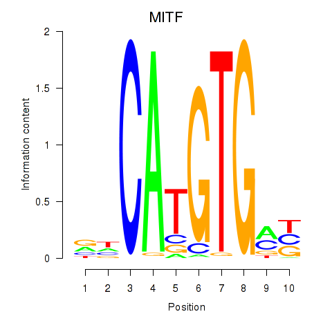 logo of MITF