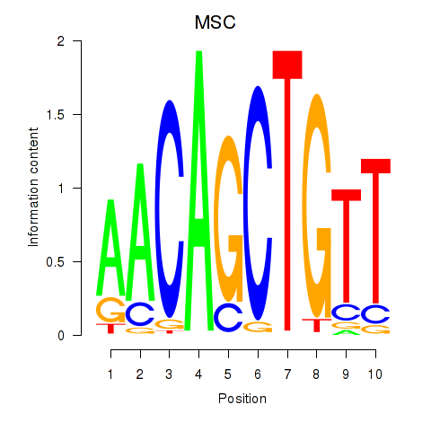 logo of MSC