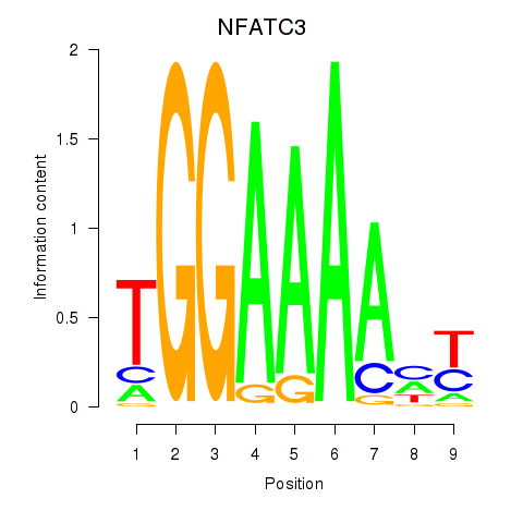 logo of NFATC3