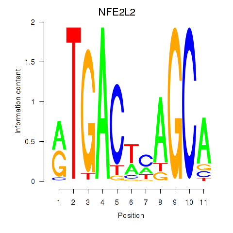 logo of NFE2L2