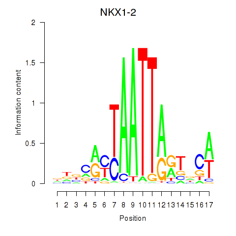 logo of NKX1-2