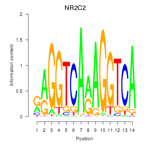 logo of NR2C2