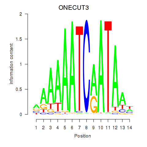 logo of ONECUT3