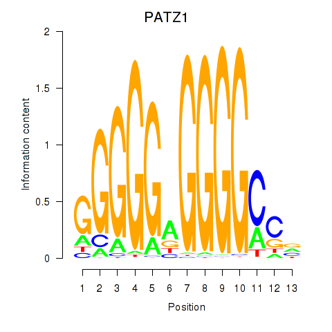 logo of PATZ1