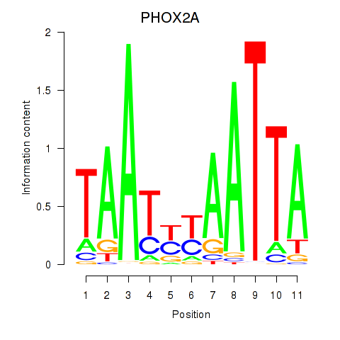 logo of PHOX2A