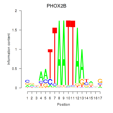 logo of PHOX2B