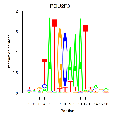 logo of POU2F3