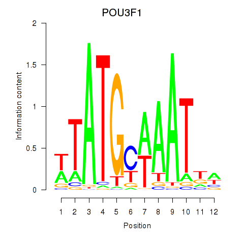 logo of POU3F1