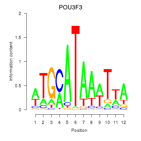 logo of POU3F3