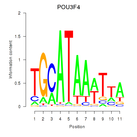 logo of POU3F4