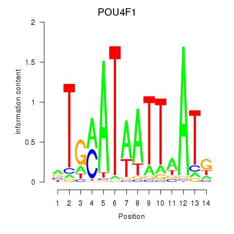 logo of POU4F1