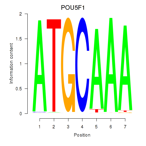 logo of POU5F1