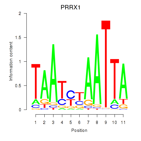 logo of PRRX1