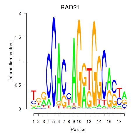 logo of RAD21