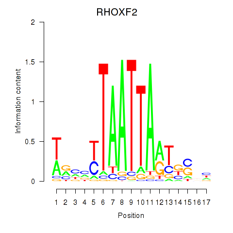 logo of RHOXF2