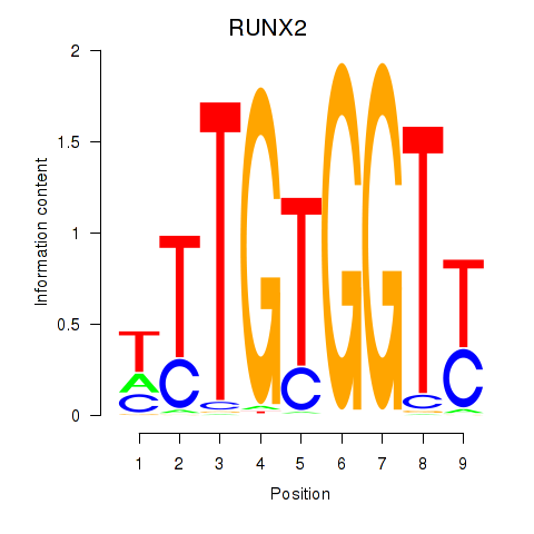 logo of RUNX2