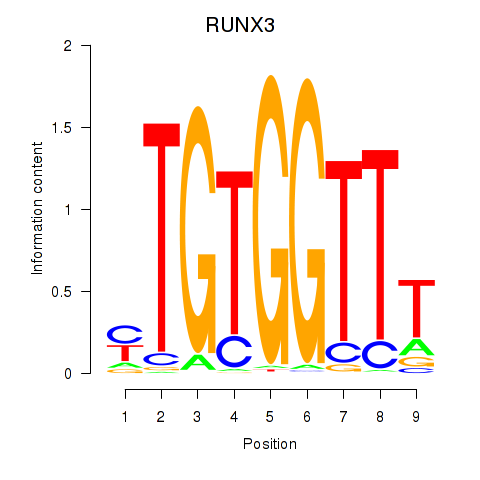 logo of RUNX3