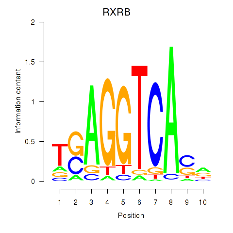 logo of RXRB