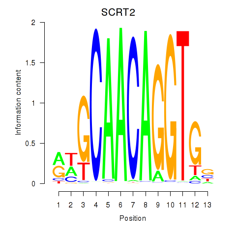 logo of SCRT2