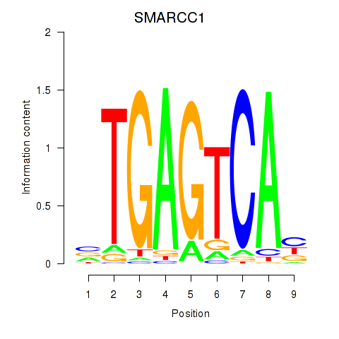 logo of SMARCC1