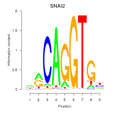 logo of SNAI2