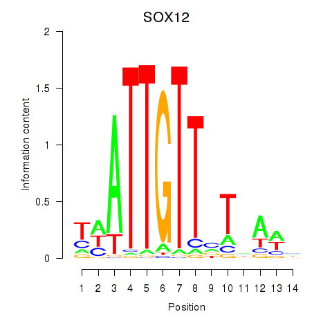 logo of SOX12