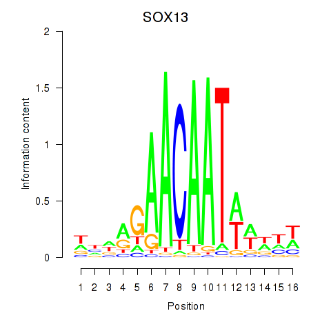 logo of SOX13