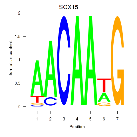 logo of SOX15