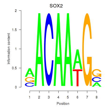 logo of SOX2