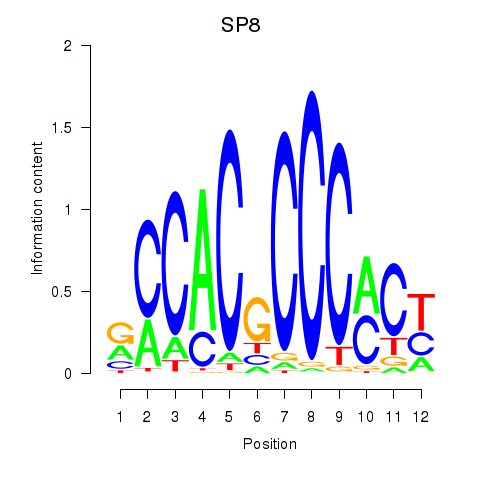 logo of SP8