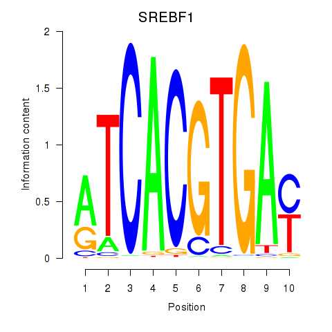 logo of SREBF1