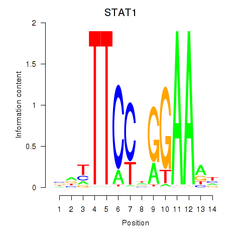 logo of STAT1