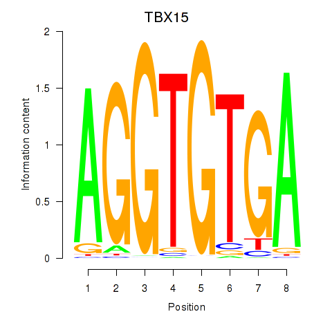 logo of TBX15