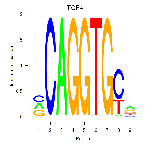 logo of TCF4