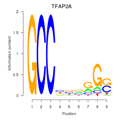 logo of TFAP2A