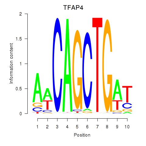 logo of TFAP4