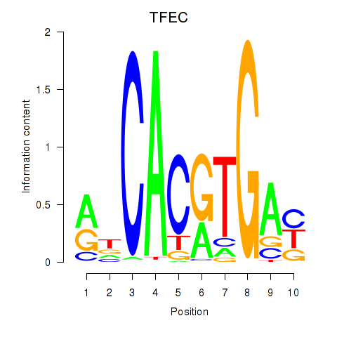 logo of TFEC