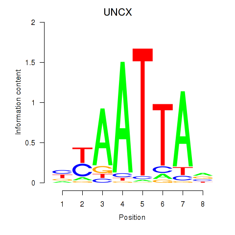 logo of UNCX