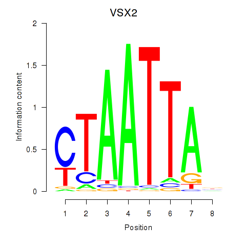 logo of VSX2