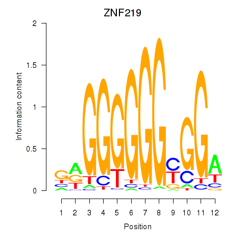 logo of ZNF219